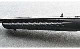Ruger ~ American Rimfire ~ .22 LR - 5 of 7