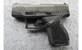 Taurus ~ GX4 ~ 9mm - 3 of 3