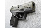 Taurus ~ GX4 ~ 9mm - 2 of 3
