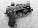 SIG Sauer ~ P320 ~ 9mm