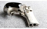 High Standard ~ Derringer ~ .22 Mag - 3 of 3