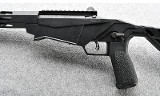 Ruger ~ Precision ~ .17 HMR - 8 of 9 Ruger ~ Precision ~ .17 HMR - 8 of 9