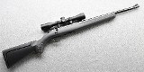 Ruger ~ American ~ .22 LR