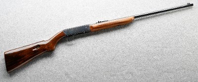 Remington
Speedmaster
.22 LR