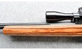 Ruger ~ 10/22 Carbine ~ .22 LR - 7 of 10