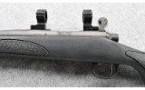 Remington ~ 700 ~ .223 Remington - 8 of 10