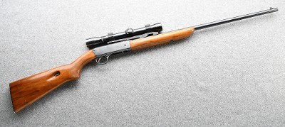 Remington ~ 241 ~ .22 Long Rifle