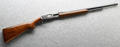 Remington ~ 121 ~ .22 s, l, lr