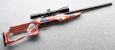 Ruger ~ 10/22 Race Gun ~ .22 LR