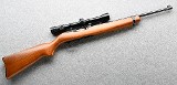 Ruger ~ 10/22 ~ .22 Long rifle