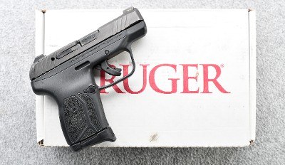 Ruger ~ LCP Max ~ .380 ACP