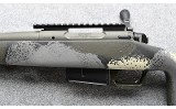 Springfield ~ 2020 ~ 6.5 PRC - 8 of 10