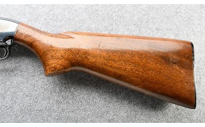 Winchester ~ 25 ~ 12 Gauge - Image 8 of 9