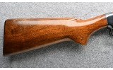 Winchester ~ 25 ~ 12 Gauge - Image 2 of 9