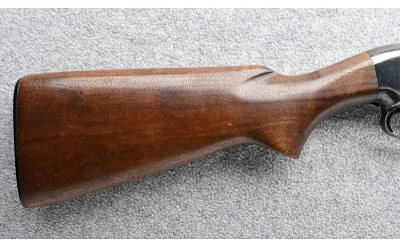 Winchester ~ 25 ~ 12 Gauge - Image 2 of 10