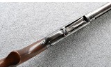 Winchester ~ 25 ~ 12 Gauge - Image 5 of 10