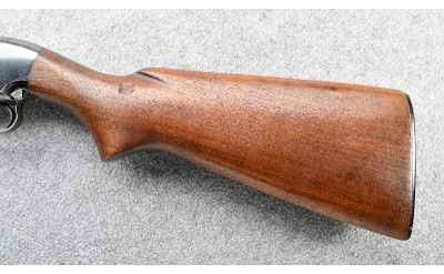 Winchester ~ 25 ~ 12 Gauge - Image 9 of 10