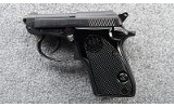 Beretta ~ 21.A ~ .22 LR - 2 of 3