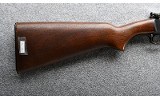 Remington ~ 121 ~ .22 S, LR - 2 of 9
