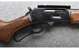 Marlin ~ 1895 ~ 45-70 GOV'T - 3 of 9