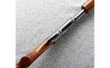 Winchester ~ 61 TD ~ .22 S, L, LR - Image 5 of 10