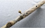 Savage ~ Model 10 ~ .22-250 Rem - Image 5 of 10