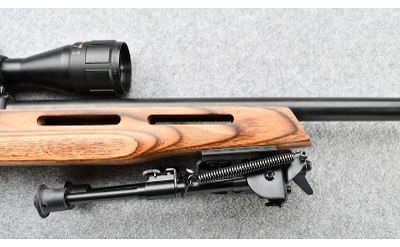 Ruger ~ 10/22 Carbine ~ .22 Lr - Image 4 of 9