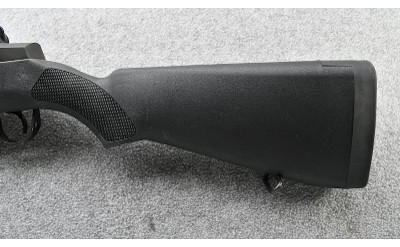 Springfield ~ M1A ~ .308 Win - Image 8 of 11
