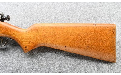 Pioneer ~ 25 ~ .22 Cal - Image 8 of 9