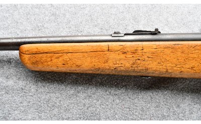 Pioneer ~ 25 ~ .22 Cal - Image 6 of 9
