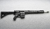 Palmetto State Armory ~ Jakl-10 ~ .308 Winchester - Image 1 of 7