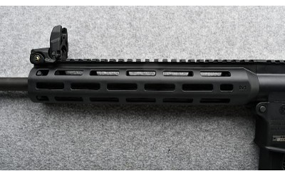 Smith & Wesson ~ MP15-22 ~.22 LR - Image 7 of 10