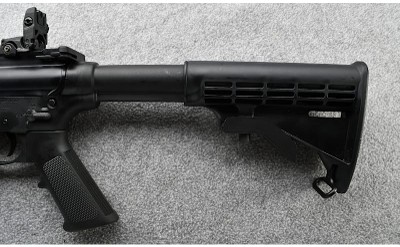 Smith & Wesson ~ MP15-22 ~.22 LR - Image 9 of 10