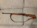 1962 Winchester Model 88, 243 - 14 of 15