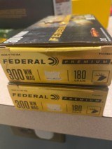 Federal Premium .300 Win Mag - 1 of 5