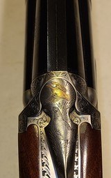 Caesar Guerini Invictus VII Gold 32in barrels - 4 of 15