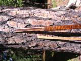 Halfstock Hawken style .54 cal Custom Built percussion Rifle 1980 period - 3 of 12