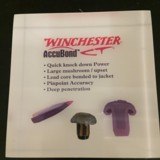 winchester - 1 of 1