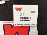 hornet - 1 of 1