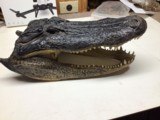 alligator - 4 of 4