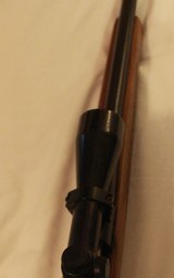 Winchester Model 70, 22-250 - 13 of 14