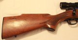 Winchester Model 70, 22-250 - 7 of 14