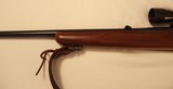 Winchester Model 70, .264 Win Mag - 10 of 13