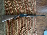 Remington 1100 classic field