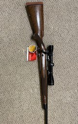 Winchester model 70 Classic Super grade SCI Whitetail Collectors special edition - 8 of 13