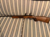 Steyr Model L Varmint .243 - 10 of 14