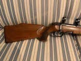 Steyr Model L Varmint .243 - 2 of 14