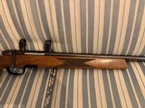 Steyr Model L Varmint .243 - 3 of 14