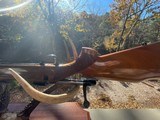 Sako AV Deluxe in the RARE Rem 25-06 Like New! - 12 of 15
