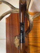 Winchester - 14 of 20